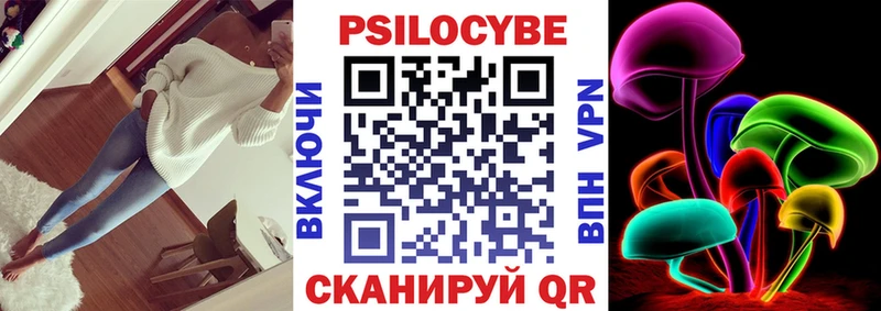кракен вход Вяземский Псилоцибиновые грибы Psilocybe купить наркотики цена